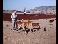 Grandpa Coop feeding deer 4